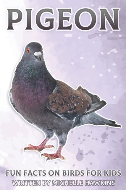 Pigeon
