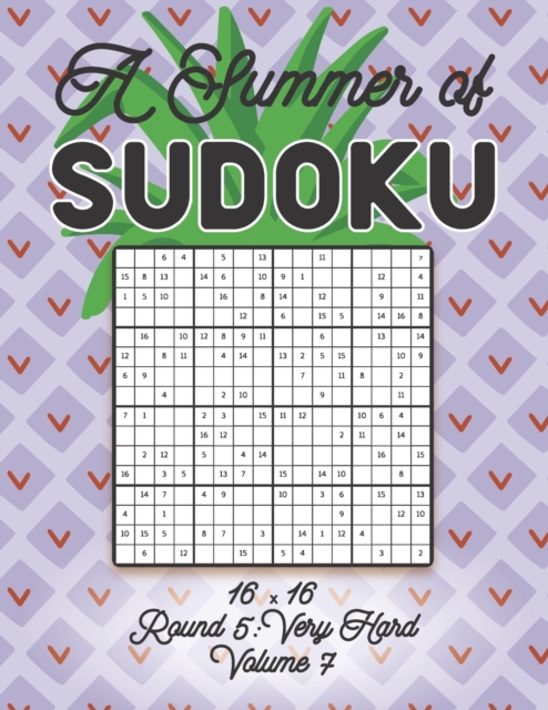 A Summer of Sudoku 16 x 16 Round 5