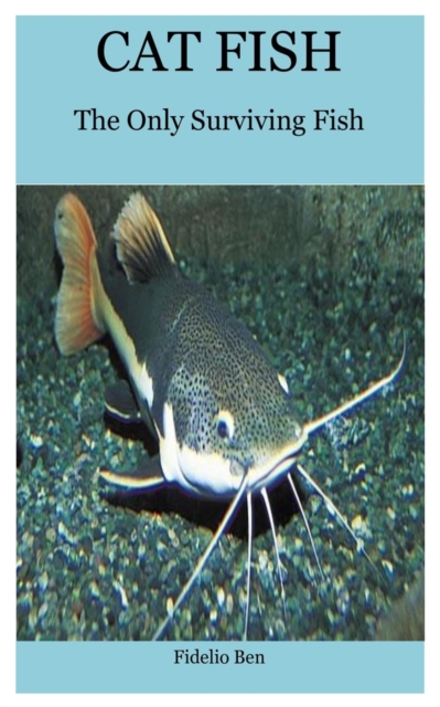 Cat Fish