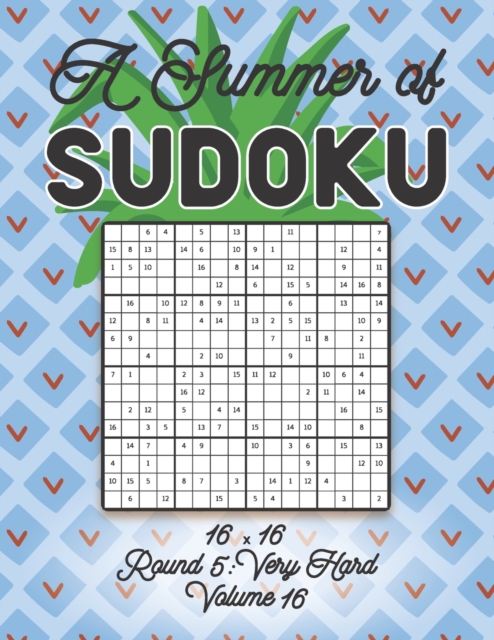 A Summer of Sudoku 16 x 16 Round 5