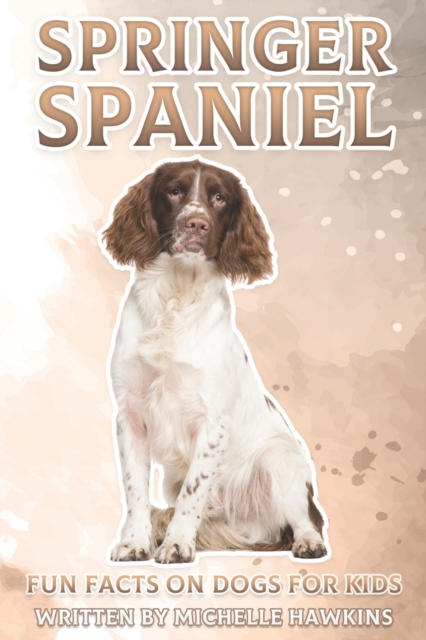Springer Spaniel