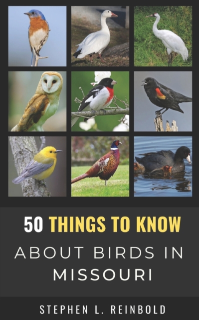 50 Things to Know About Birds in Missouri