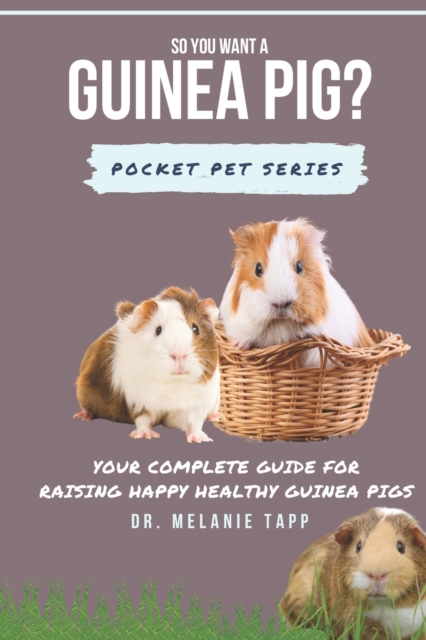 So You Want A Guinea Pig?