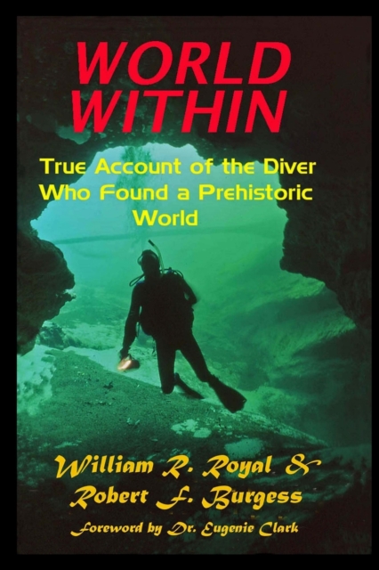World Within