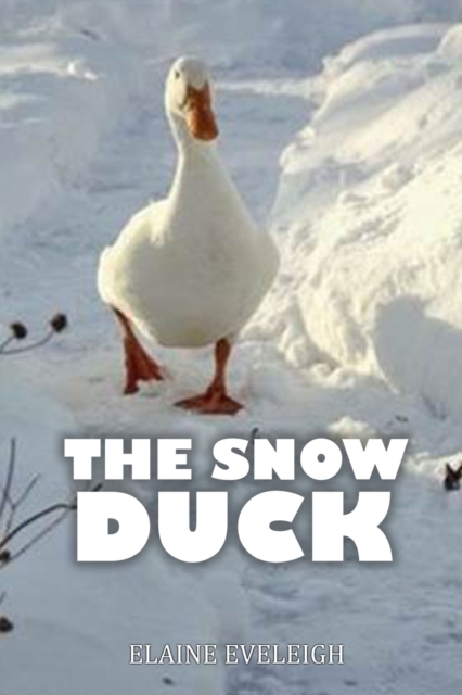 The Snow Duck