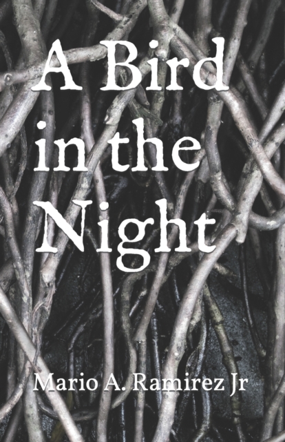 A Bird in the Night