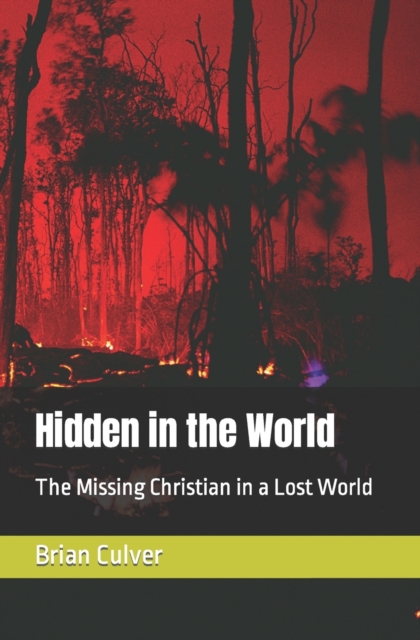 Hidden in the World