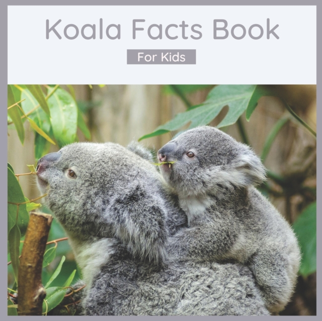 Koala Facts Book For Kids