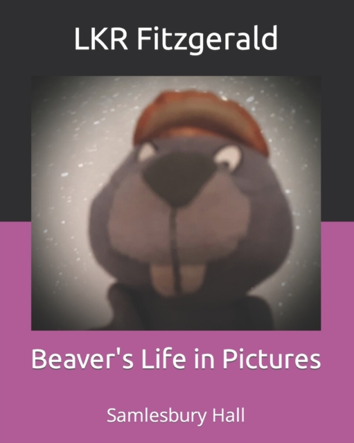 Beaver's Life in Pictures