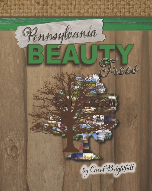 Pennsylvania Beauty - Trees