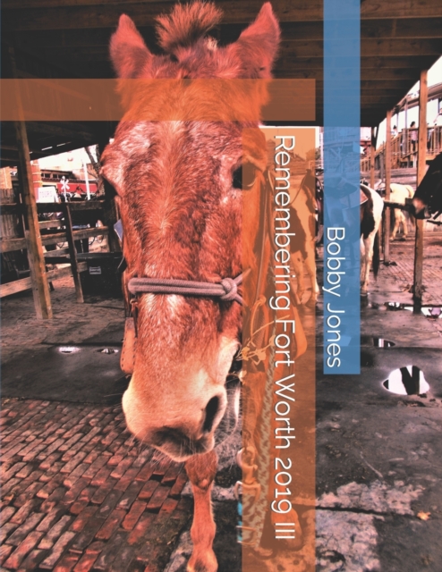 Remembering Fort Worth 2019 III