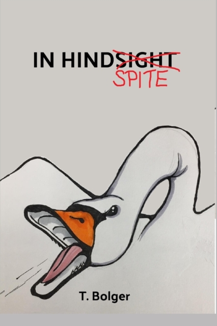 In HindSpite
