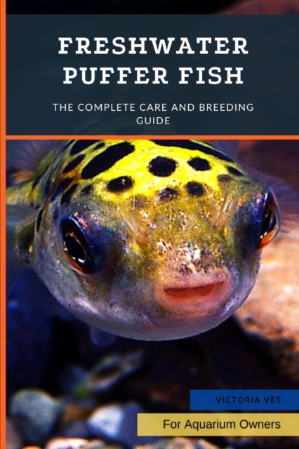 Freshwater Puffer Fish