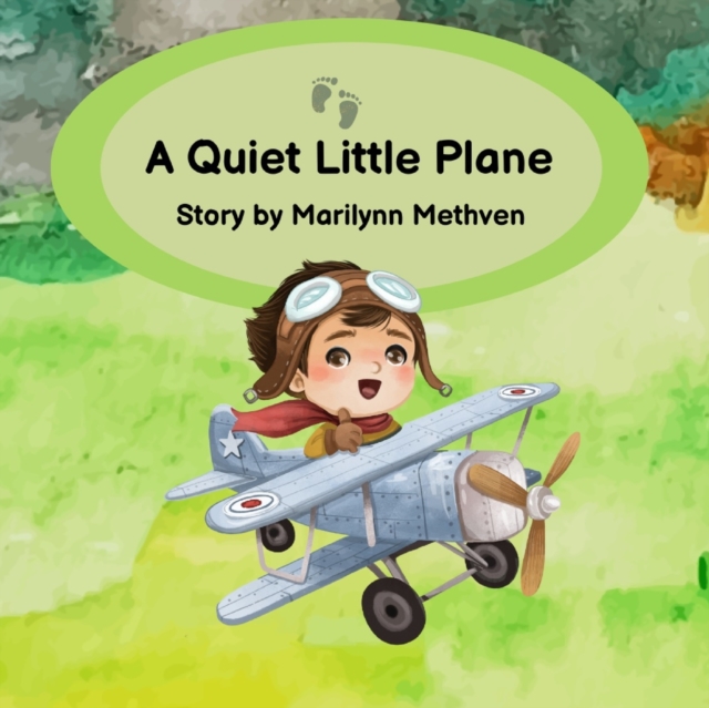 A Quiet Little Plane