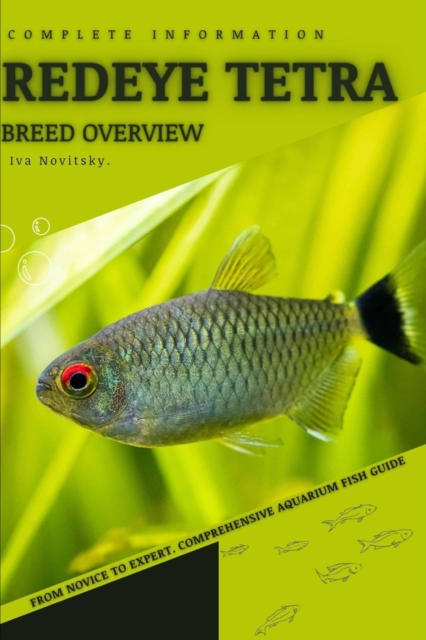 Redeye Tetra