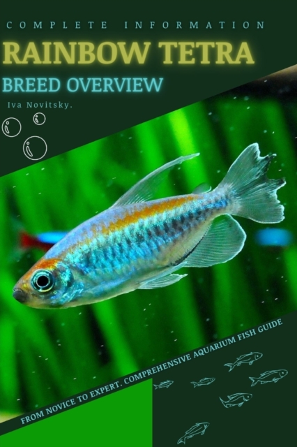 Rainbow Tetra