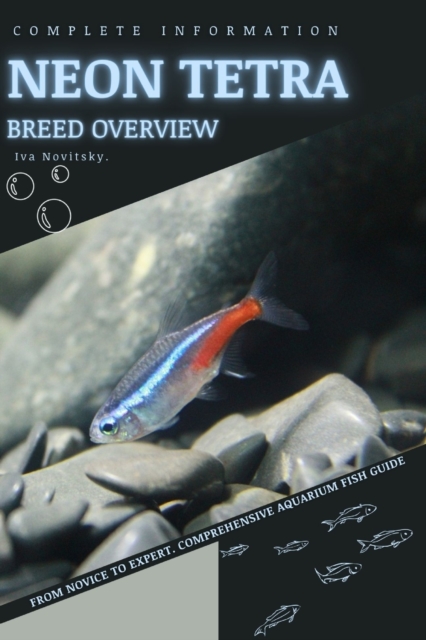Neon Tetra