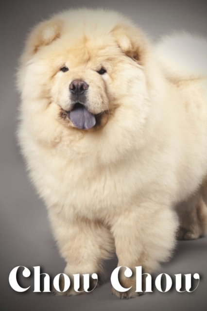 Chow Chow