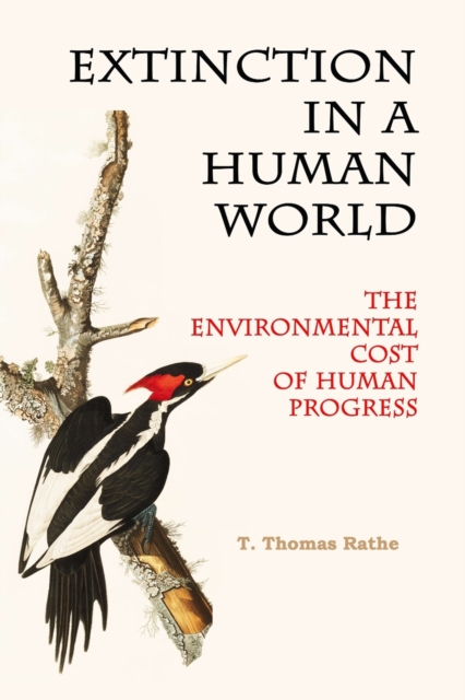 Extinction in a Human World