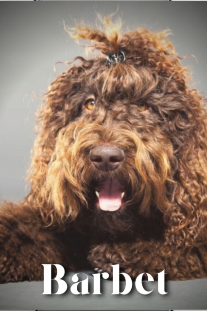 Barbet