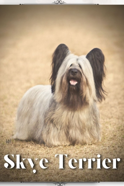 Skye Terrier