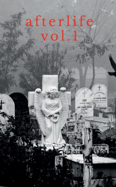 afterlife vol. 1