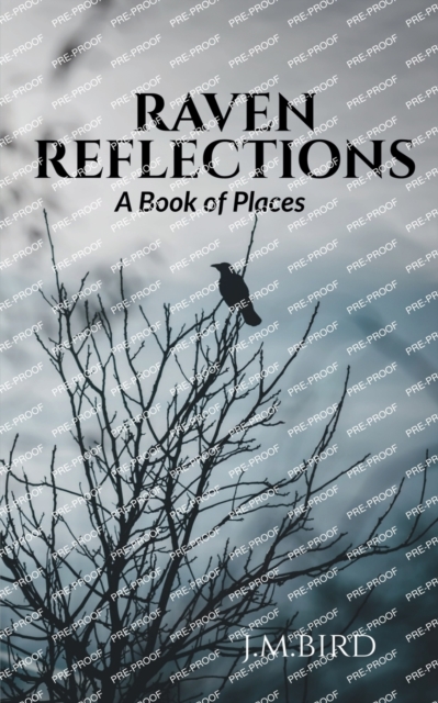 Raven Reflections