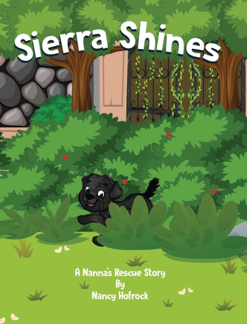 Sierra Shines