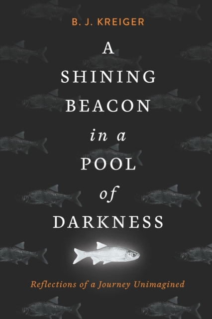 A Shining Beacon in a Pool of Darkness