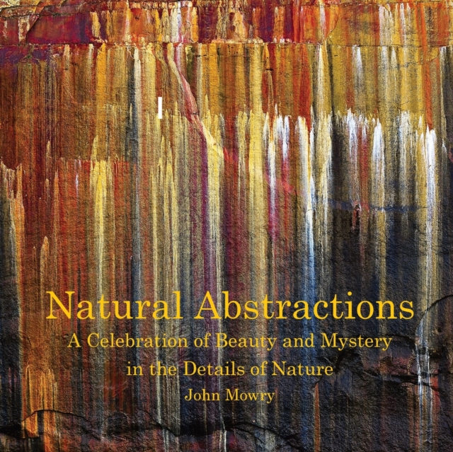 Natural Abstractions