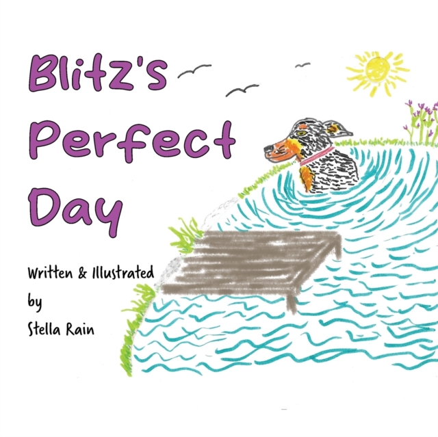 Blitz's Perfect Day