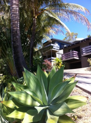 Airlie Beach Motor Lodge Airlie Beach