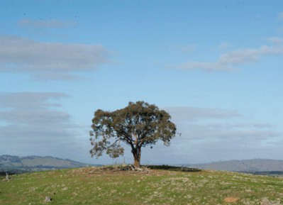 HUT ON THE HILL bendigo