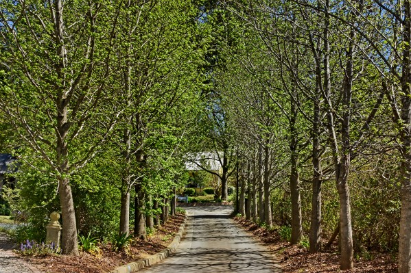 Bundanoon Lodge