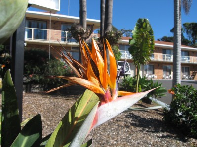 Ocean View Motor Inn Merimbula Merimbula