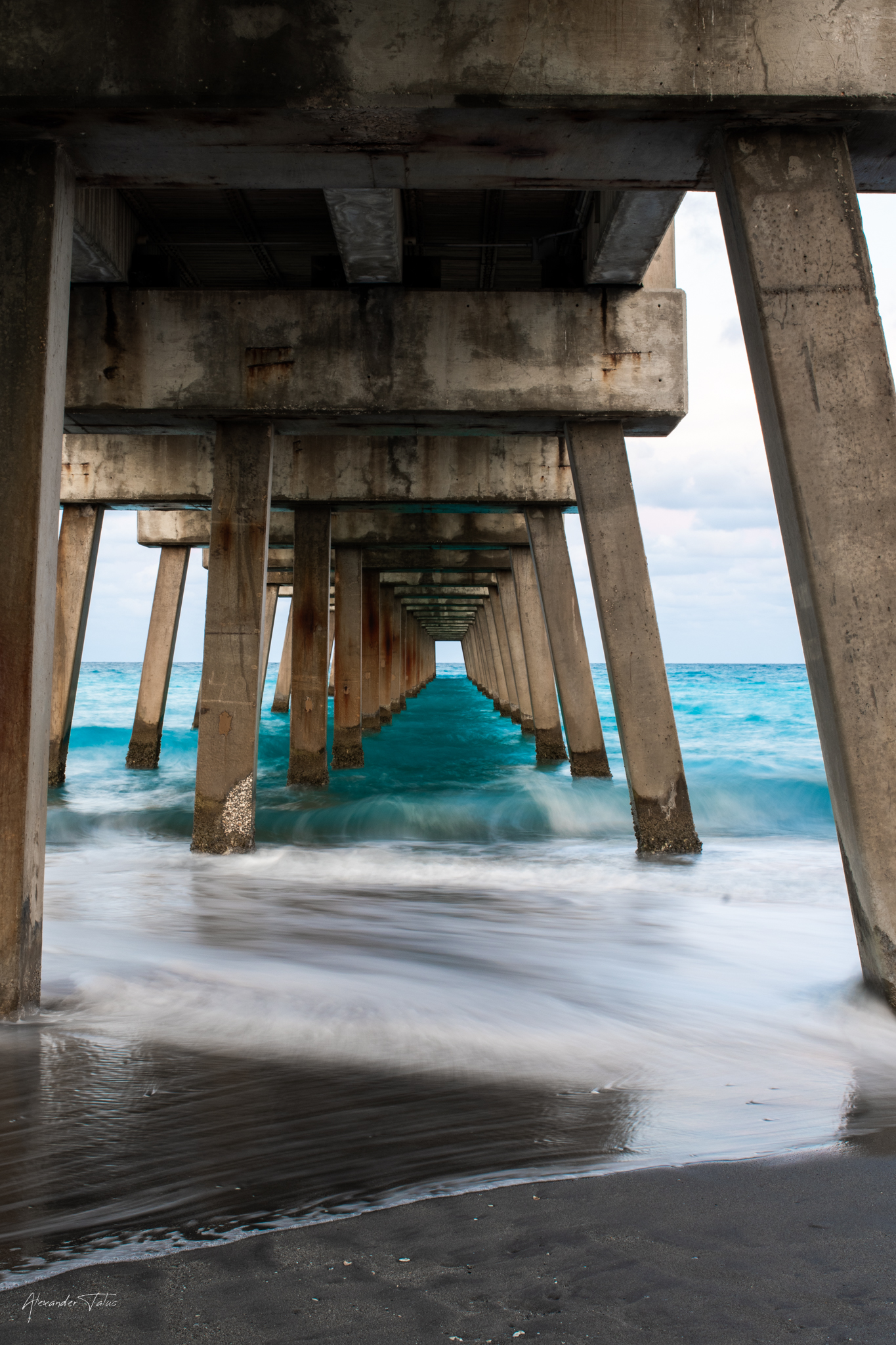 Alexander Taluc Photography Family Portfolio Header Image