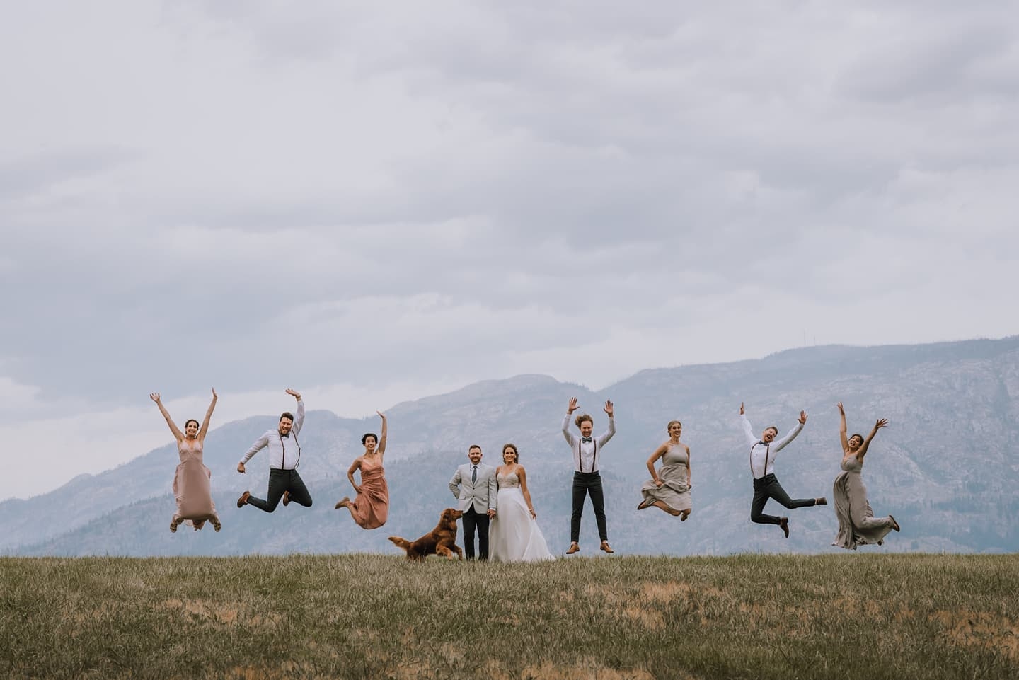 Oak and Owl Photography Wedding & Engagement Photography Cover Image