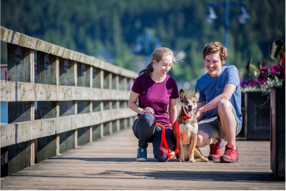 Julie Doro Photography's Pet Photography Session Family Photo Vancouver, BC, Canada