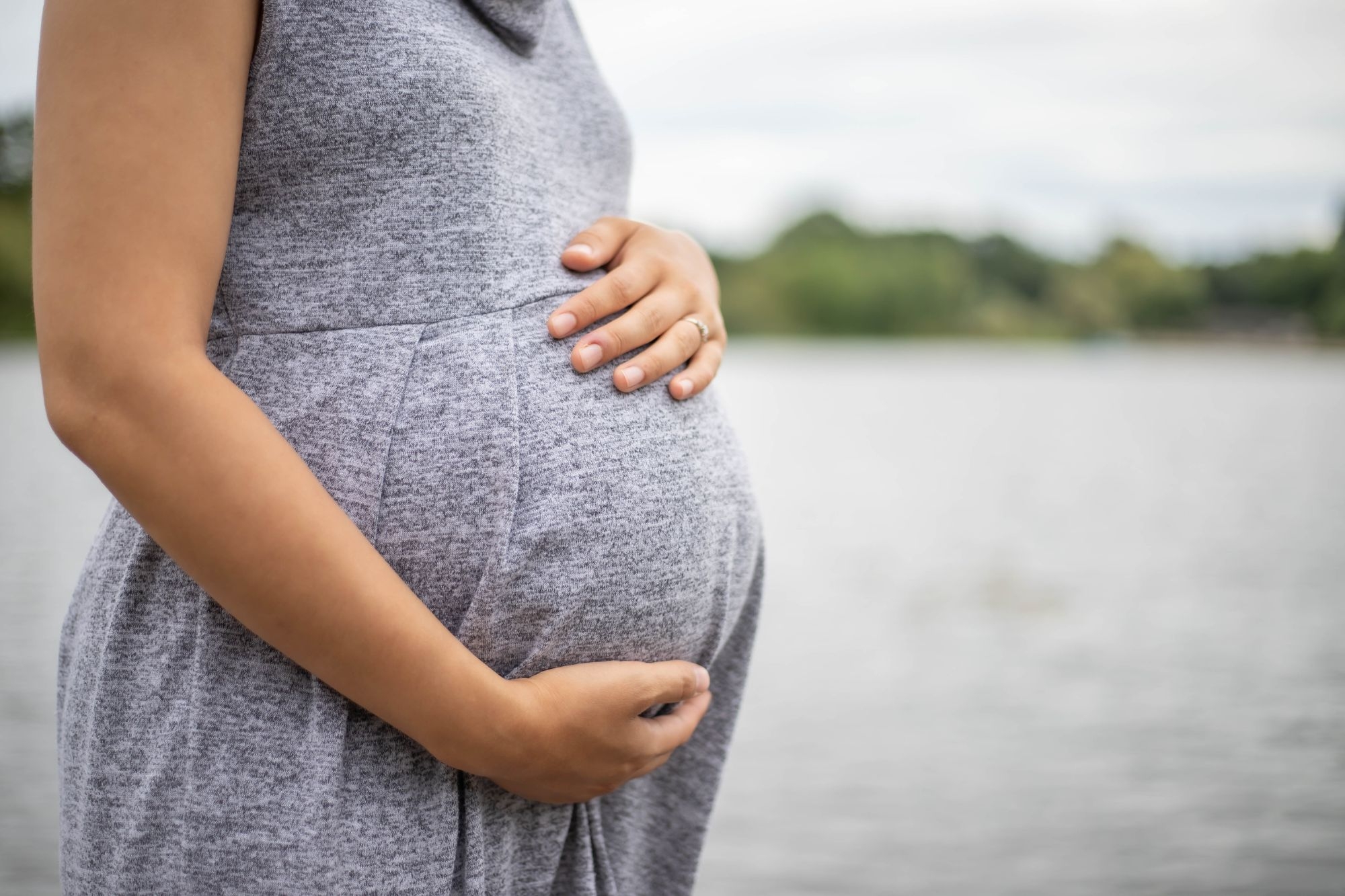 Hannah T. Photography's Trout Lake Mini Maternity Portrait Session Package Photo