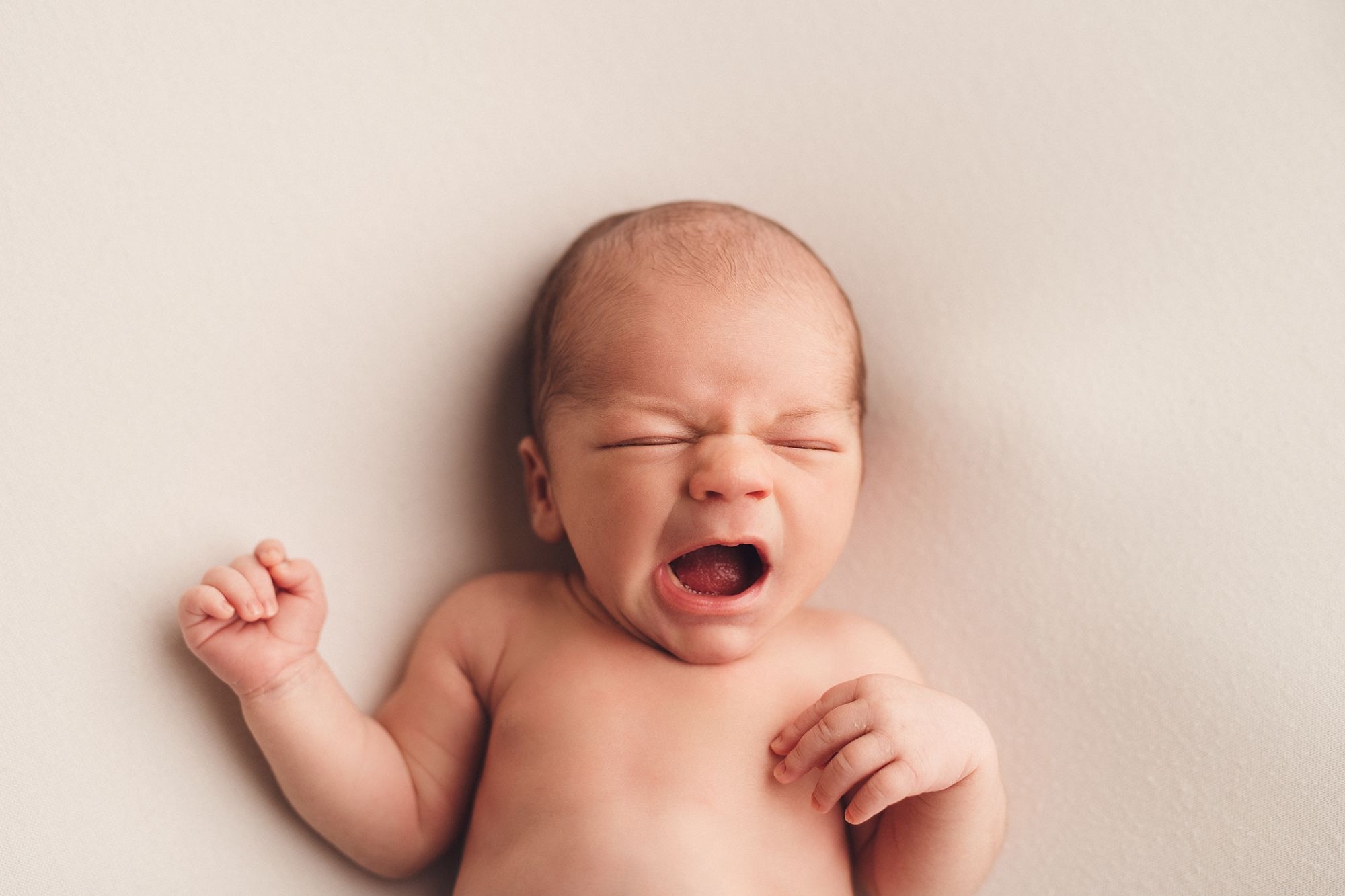 Anna Alexander Photography's Newborn Basic Studio session Photo 