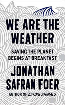 We are the Weather : Saving the Planet Begins at Breakfast Jonathan Safran Foer 9780241405956 book cover