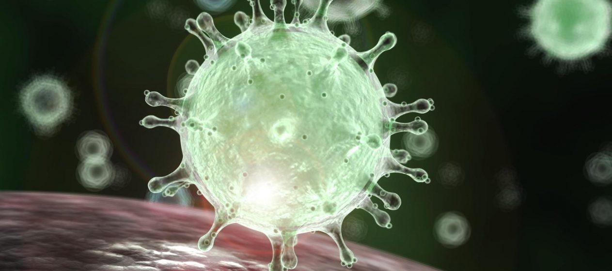 Coronavirus Crisis | Information for Guests