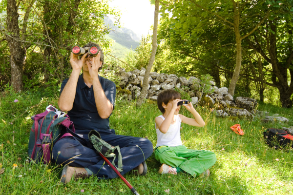 Birdwatching Holidays on Exmoor: Wild Encounters from Moor to Shore