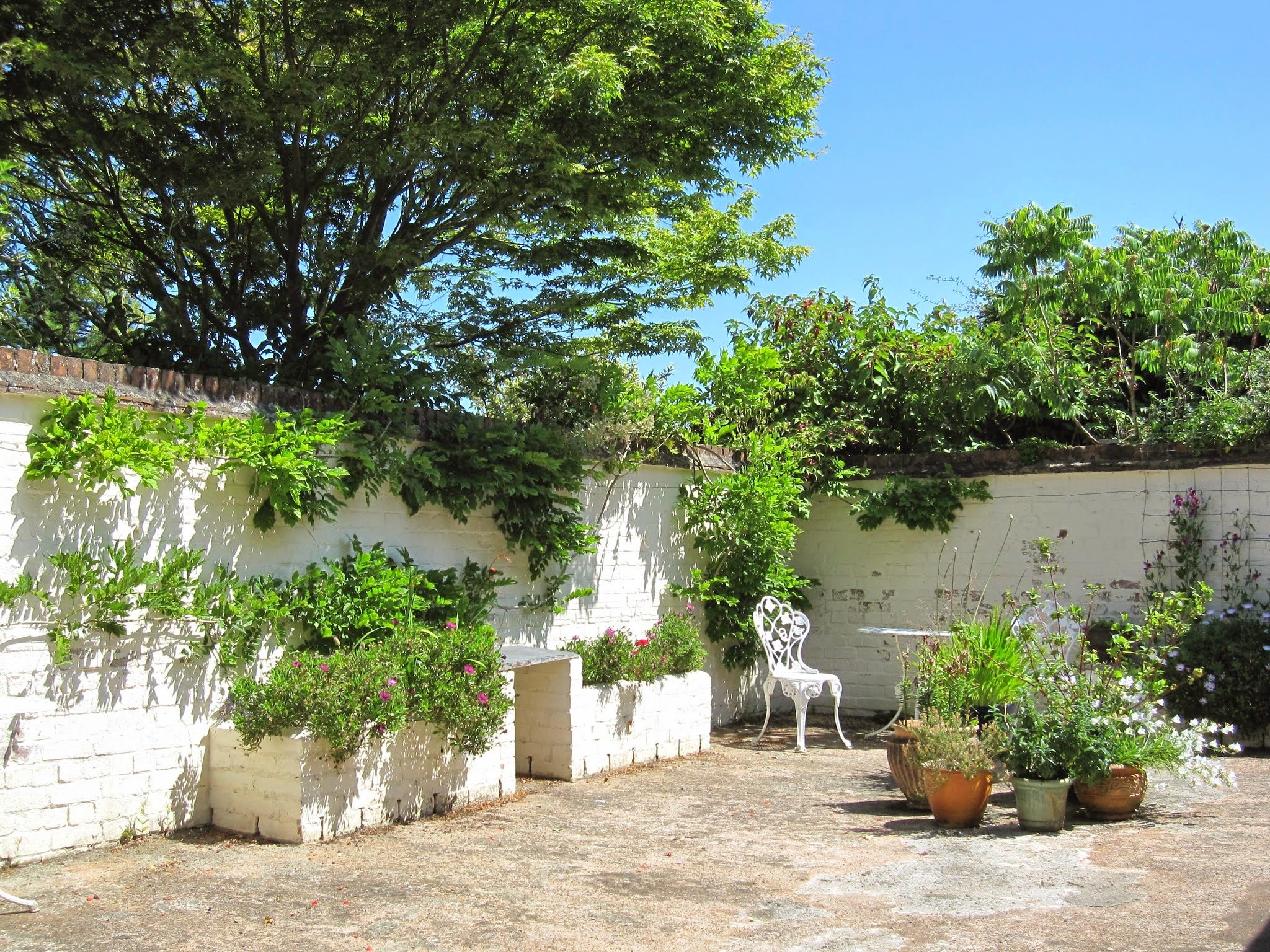 private courtyard fully enclosed