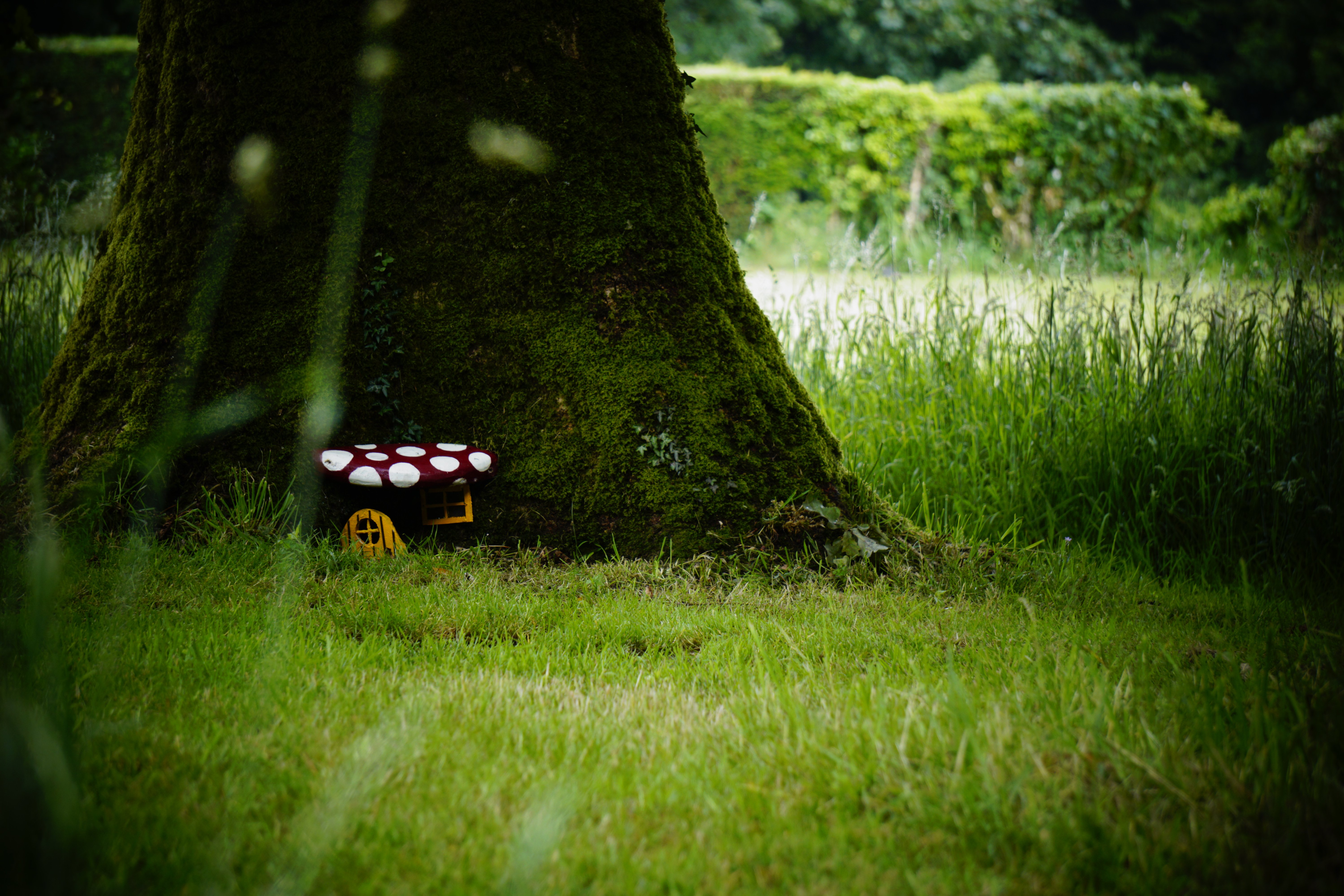 Fairies live here too!