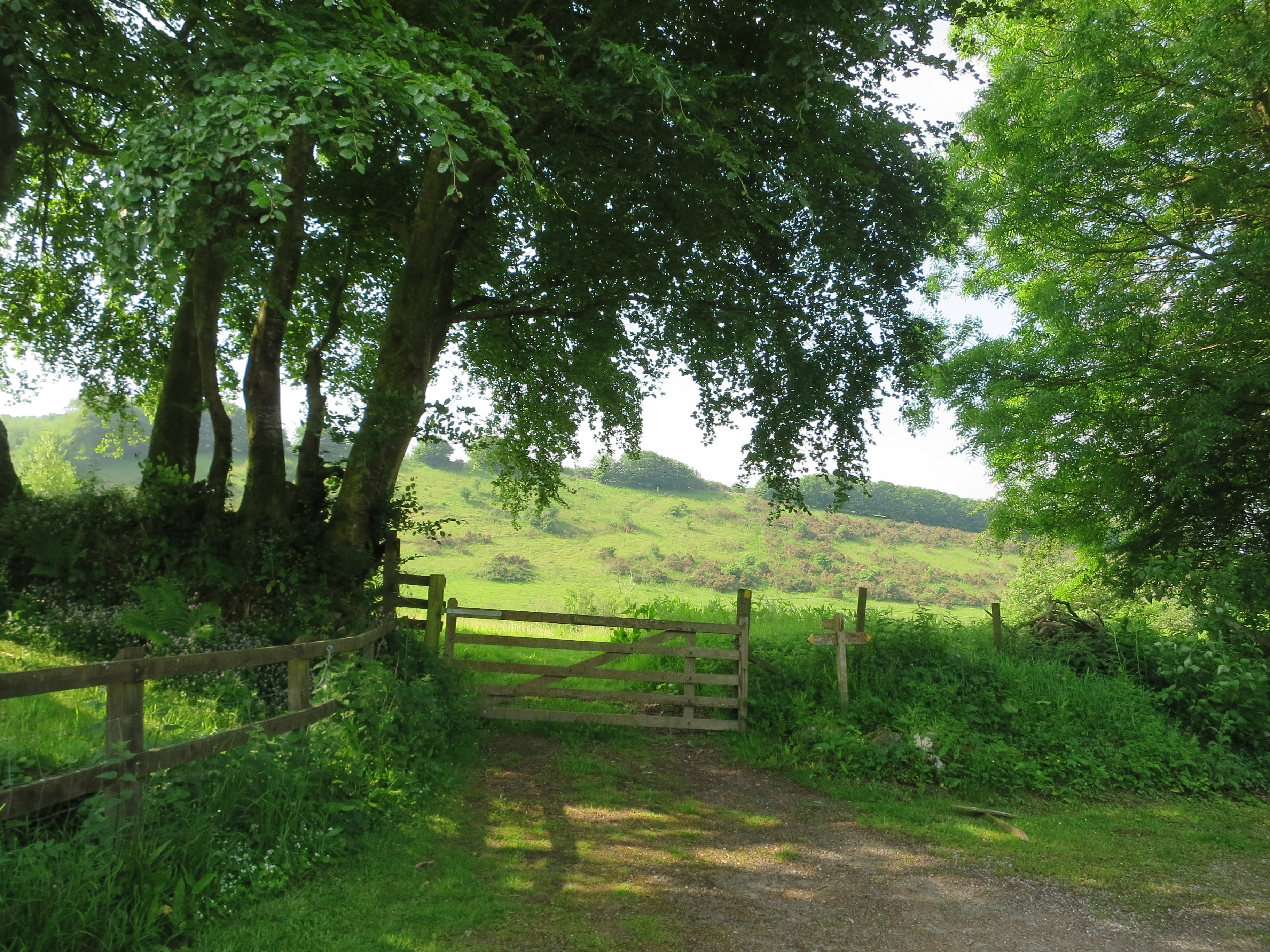 View from the top bedroom