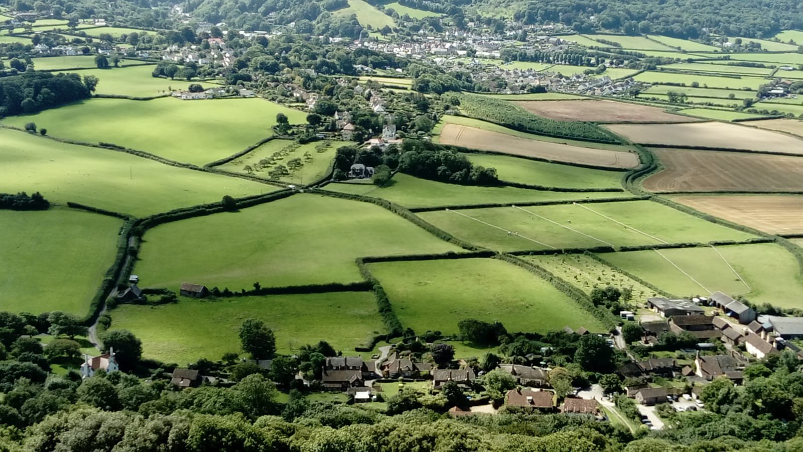 Selworthy toward PorlockClick to replace me with your text!!!