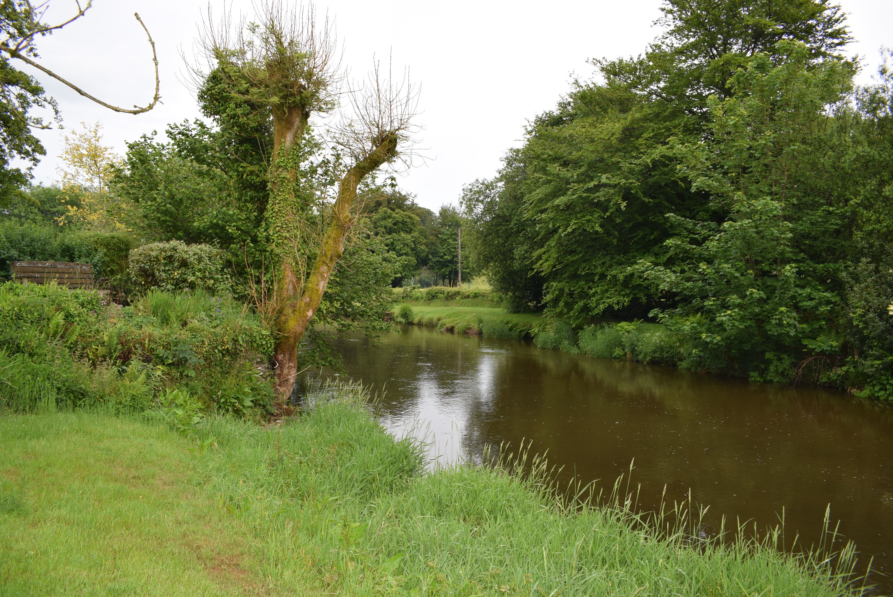 Click to replace me with your text!!!