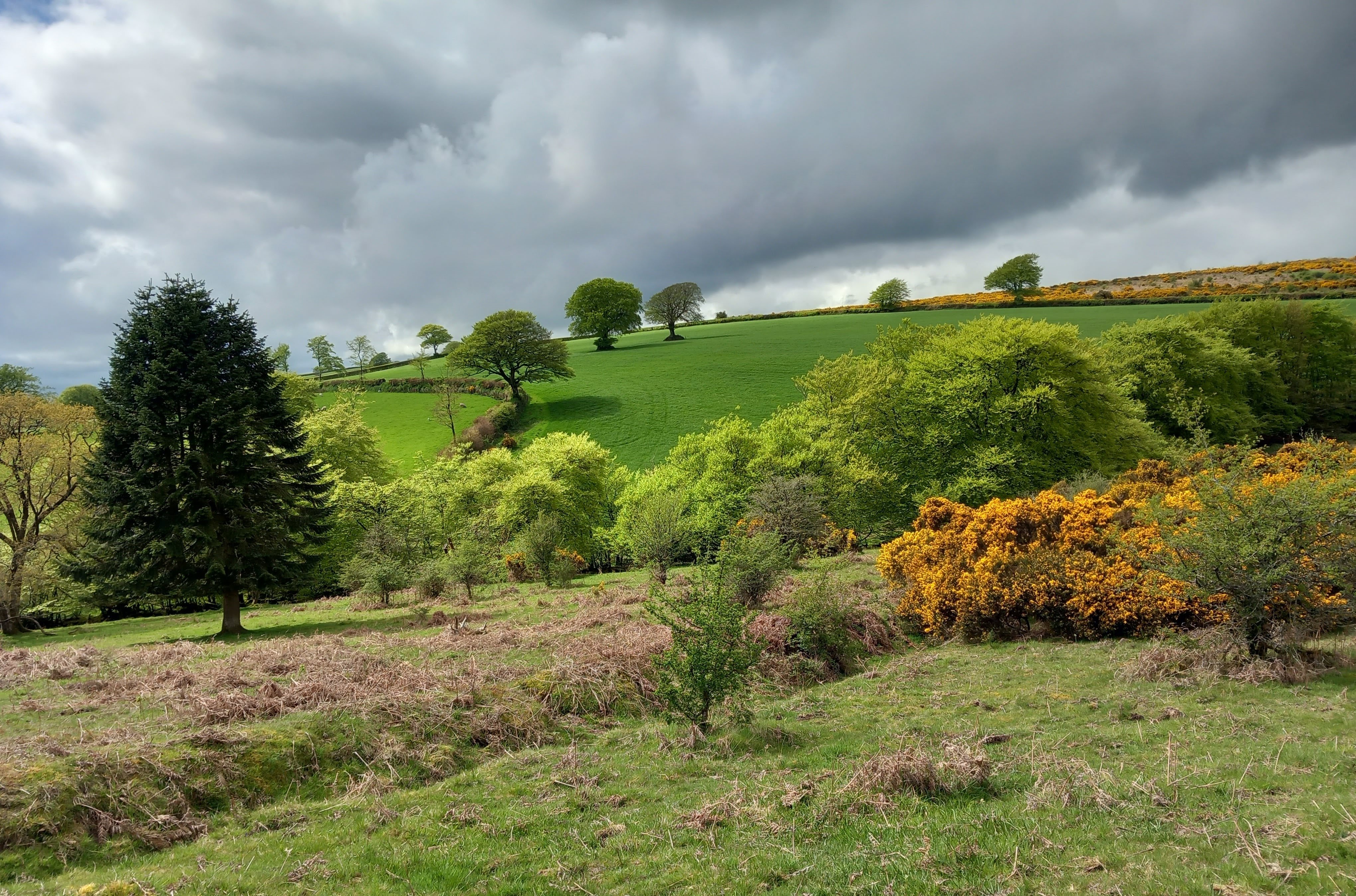 Winsford Hill 10 minutes from Draydon Cottage, by car.