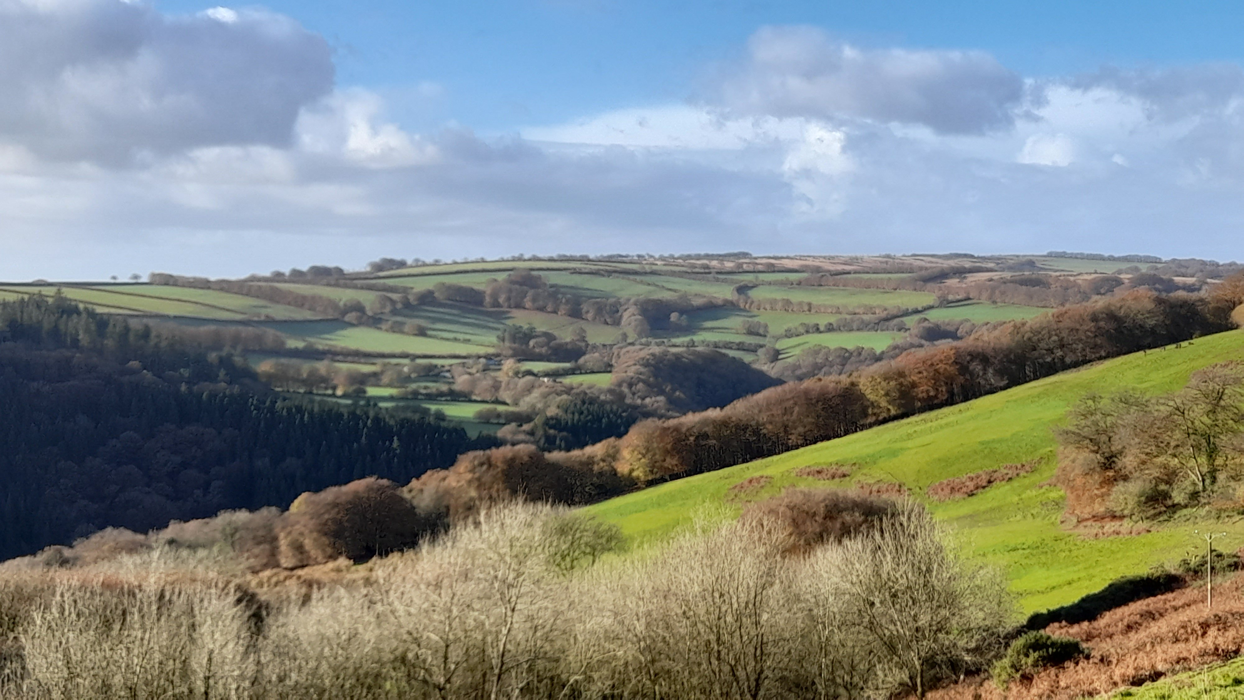 Across the Barle Vally, a couple of minutes from the cottage.